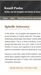 Mobile Screenshot of kamilpasha.com